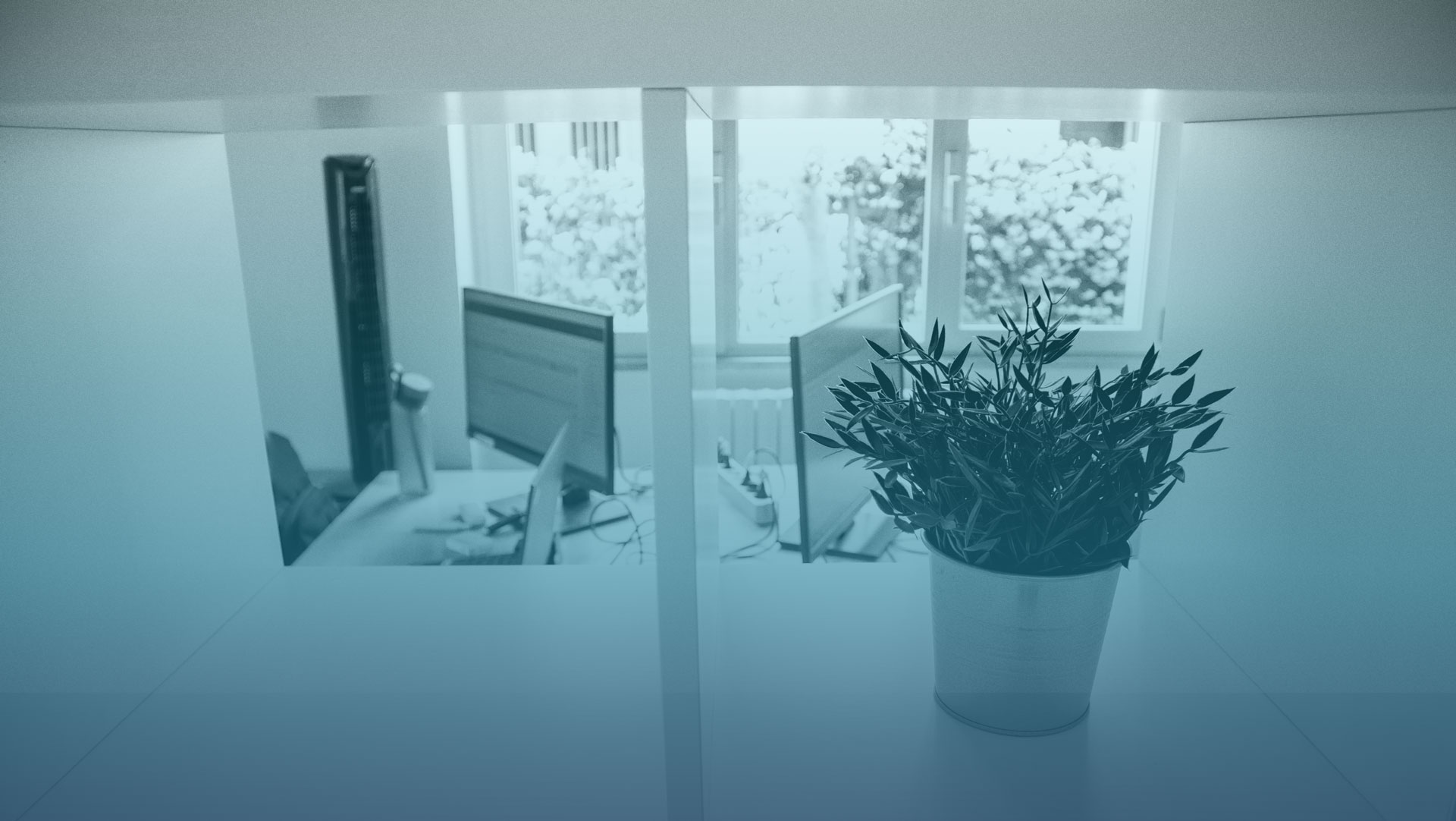 Uno spazio di lavoro e formazione Weave